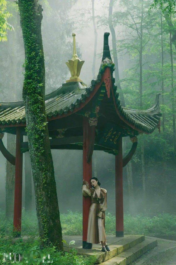 王卫东等市领导看望出席市十七届人大五次会议的代表